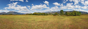 Ex-Cornfield Panorama (VR)